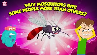 Why Mosquitoes Bite Some People More Than Others  Mosquito Facts  The Dr Binocs Show [upl. by Tram]