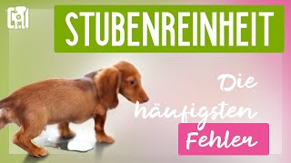 Stubenreinheit  Die häufigsten Fehler TOP 5 [upl. by Yetak]