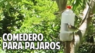 Comedero para aves silvestres en 2 minutos  recontra facilisimo cosasdeljardin [upl. by Atiniv]