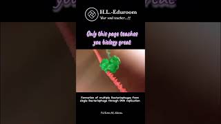 Multiplication of bacteriophages anatomy popular f4official hlquotes f4fofficial instagram [upl. by Mathur223]