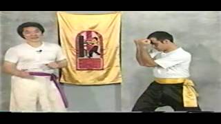 GrandMaster William Cheung KUNG FU Wing Chun Fighting Strategy [upl. by Shanleigh287]