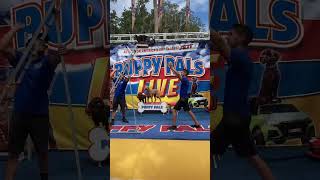 The Puppy Pals Comedic Stunt Dog Show Dare Devil Cash Jump Creekside Festival Palm Coast [upl. by Krahmer]