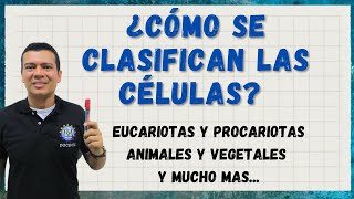 COMO SE CLASIFICAN LAS CÉLULAS EUCARIOTAS Y PROCARIOTAS ANIMALES Y VEGETALES ARQUEOBACT GRAM [upl. by Fenny671]