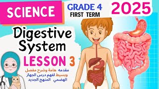 Digestive System Grade 4  Science  Unit 1 Lesson 3 2025 ساينس رابعه ابتدائى الترم الاول [upl. by Gauldin]