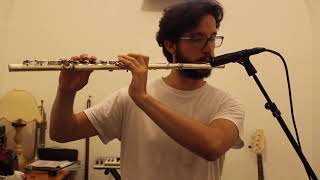 Fascinating Rhythm Jacob Collier Melodica Solo  Flute Cover [upl. by Neelrahc]