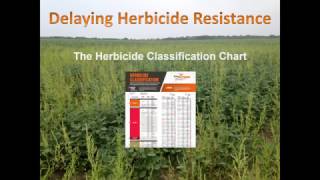 Reading the Herbicide Classification Chart [upl. by Gaile677]