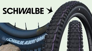 Schwalbe Albert Radial First Look [upl. by Lussi]