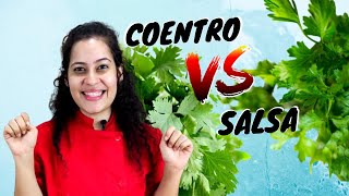 COENTRO X SALSA  Como escolher e quais as diferenças  Ervas e Especiarias 2 [upl. by Aitrop]