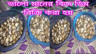 কোয়েল পাখির বিজ ডিম বিক্রি করা হবে কাচপুর  Koel Pakhi dim kaspur [upl. by Gridley]