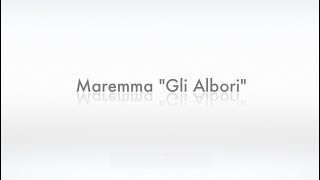 Maremma quotGli Alboriquot [upl. by Nnave]