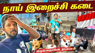 பெண்ணின் நாய் இறைச்சி கடை🐕  Indonesia Dog Meat Market🇮🇩 Ep39  Jaffna Suthan [upl. by Agretha]