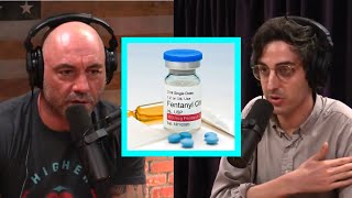 Joe and Hamilton Morris Talk Fentanyl Dangers Who Created It amp More  Joe Rogan Experience [upl. by Boggs437]