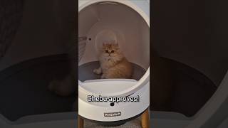 Unboxing PetSafe ScoopFree SmartSpin SelfCleaning Litter Box petsafe cats [upl. by Lemrahc]