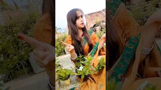 Ja mai nhi karti shaadi waadi trending explore expression [upl. by Cressida]