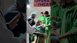 डॉग के आगे के दोनों पैर एक्सीडेंट में टूट गए।gsdanimalhospital [upl. by Nanerb]