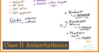 Class II Antiarrhythmics  BBlockers  UPB Lectures [upl. by Dott]