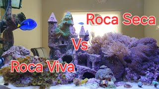 Roca Viva vs Roca Seca Para Mi Acuario Marino [upl. by Ecinna]