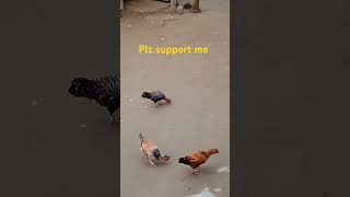 তুমি কই তুমি নাই আমি তোমাকে চাইforyou video unfreezmyaccoun [upl. by Kraus]