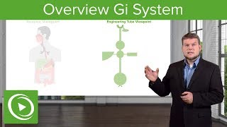 Overview Gastrointestinal System – Physiology  Lecturio [upl. by Htial]