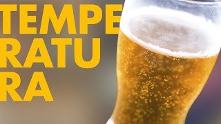 QUAL A TEMPERATURA IDEAL DA CERVEJA [upl. by Trixi824]