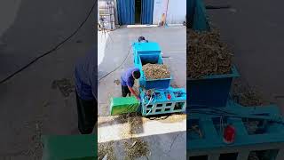 Piston type cattle and sheep grass baler for silage and dry storage for farm breeding [upl. by Emeline]