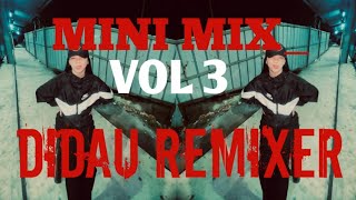 MINI MIX VOL3  DIDAU REMIXER EXTENDED MIX [upl. by Anaid]