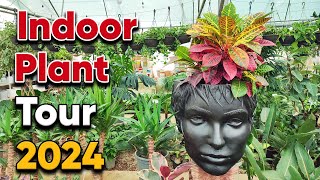 House plant tour October 2024  indoor plants collection in greenhouse quotPart 1quot [upl. by Jourdain]