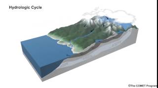 Hydrologic Cycle [upl. by Tawney]