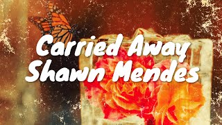 Shawn Mendes – Carried Away Lyrics 💗♫ [upl. by Silirama142]