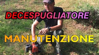 DECESPUGLIATORE MANUTENZIONE [upl. by Ahsinuq]