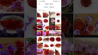 Saffron Rapid Test App for detecting fake saffron [upl. by Ainessej]