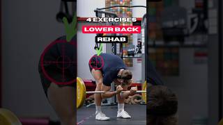 🦾 4 Powerful Exercises to Rehab Lower Back Weakness amp Pain 🦵 [upl. by Bianka220]