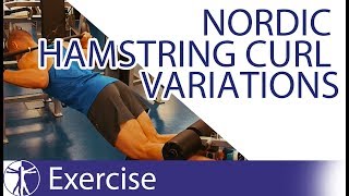 Nordic Hamstring Curl Variations  Hamstring Training [upl. by Chellman]