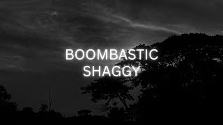 Shaggy  Boombastic Lyrics [upl. by Romilly]