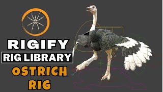 Create A Ostrich Rig with Rigify  Rig Library in Blender  Rigify Ostrich Rig [upl. by Ok]