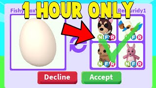 Trading from EGG to NEW NEON AUSSIE PET in 1 HOUR Adopt Me [upl. by Rebma]