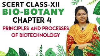 SCERT Class 12 Botany Chapter 4 Principles and processes of biotechnology  Tamil [upl. by Nove]