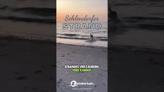 Sehlendorfer Strand an der Hohwachter Bucht  Urlaub mit Hund an der Ostsee [upl. by Euqinu]