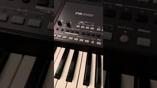 Korg Pa600 EmoSd emo pa600 emo sd set [upl. by Nile]