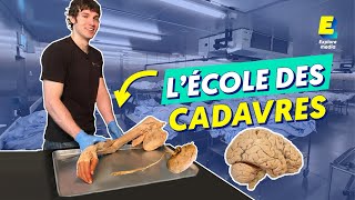 Ils font des vidéos avec des CADAVRES pour enseigner lanatomie [upl. by Dex634]