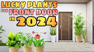 10 LUCKY PLANTS FOR FRONT DOOR IN 2024  Swerteng halaman sa pintuan para sa pera at success sa 2024 [upl. by Tergram245]