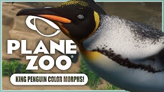 All New King Penguin Color Morphs  Planet Zoo Update 115 [upl. by Nolyar951]