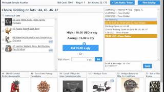 HiBid Webcast Choice and Group Quick Demo [upl. by Gale]