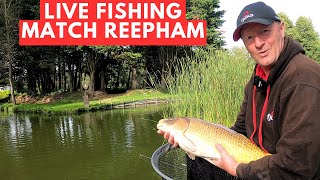 Live Fishing Match Reepham Fisheries matchfishinguk [upl. by Kcirdorb877]