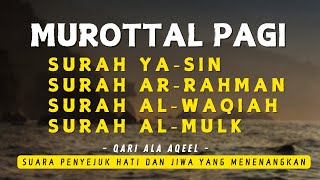 MUROTTAL AL QURAN DI PAGI HARI  SURAH YASIN AR RAHMAN AL WAQIAH AL MULK  ALAA AQEL [upl. by Shaper]