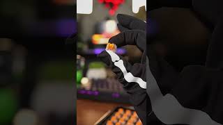 Unboxing a set of Razer orange switches the feedback is clear shorts [upl. by Schuler381]