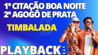 CITAÇÃO BOA NOITE  AGOGÔ DE PRATA  TIMBALADA  PLAYBACK DEMONSTRAÇÃO [upl. by Saretta]