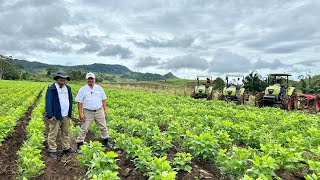 100000 Ha Soybeans Half Million Ha Sorghum Target ni Manny Piñol itanim sa Mindanao [upl. by Hecker]