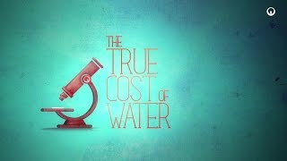 Veolia  True Cost of Water [upl. by Ahsiekam]