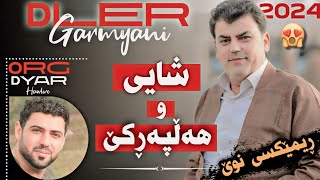 Dler Garmyani 2024 Halparke New Remix دلێر گەرمیانی هەڵپەرکێ نوێ ریمێکس [upl. by Halliday]